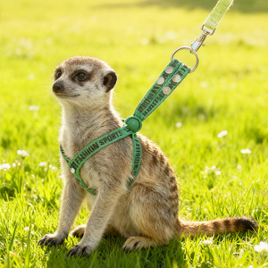 Arnés y Correa Ajustables <span class=keywords><strong>para</strong></span> Mascotas, Anti-Escape, de Nailon, <span class=keywords><strong>para</strong></span> Paseo y Entrenamiento al Aire Libre, <span class=keywords><strong>para</strong></span> Suricatas, Hurones y <span class=keywords><strong>Conejos</strong></span> - Product Image 3