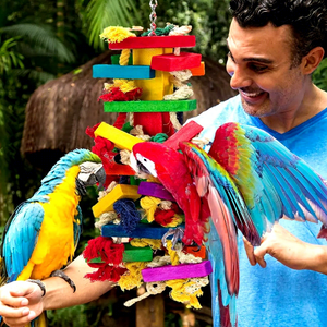 Eco-Friendly Natural Wood Chewing Bird <strong>Parrot</strong> Beak <strong>Toy</strong> Soft Plush Cotton Tearing <strong>Toy</strong> for African <strong>Grey</strong> <strong>Parrots</strong> Packaged in Carton - Product Image 2