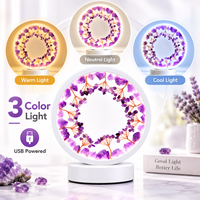 Lampe Arbre à Monnaie en Cristal Naturel USB, Lumière de Table Ronde LED 3 Couleurs, Quartz Rose, Fluorite, Citrine