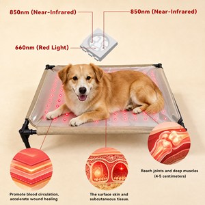 ZT Alfombra Portátil de Terapia de Luz Roja 660&850nm para Mascotas, Rectangular, Impermeable, Textil, Cama Moderna para Gatos, Para Todas las Estaciones, Fácil de Limpiar - Product Image 3