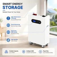 Batterie LiFePO4 professionnelle 51,2 V 314 Ah 16 kWh avec plus de 6000 cycles, stockage d'énergie domestique, lithium sur pied pour la sauvegarde solaire