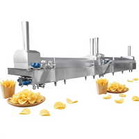 Industriële continue friteuse voor gefrituurde snacks, fabriek met grote capaciteit, friteuse project op sleutelklaar basis, 1000kg/u