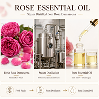 Huile Essentielle de Rose 100% Pure et Naturelle, Distillée à la Vapeur, Rosa Damascena, Approvisionnement en Gros, OEM ODM, Marque Privée, Qualité Cosmétique, Fournisseur