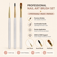 Ensemble professionnel de pinceaux à ongles mats 3-en-1 personnalisés : pinceau liner ultra-fin, pinceau quadrillé et pinceau à effacer pour la création d'art ongulaire à carreaux