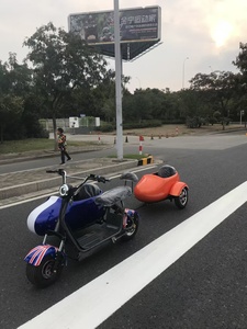 Triciclo Eléctrico para Turismo, Motocicleta Eléctrica para Adultos, Triciclo Eléctrico Portátil, Triciclo Eléctrico para Personas con Discapacidad - Product Image 5