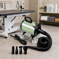 Sèche-cheveux pour le detailing automobile 2800W 30-70 ° Souffleur réglable C avec tuyau de 5 m et base mobile à roulettes par POLARBEAR