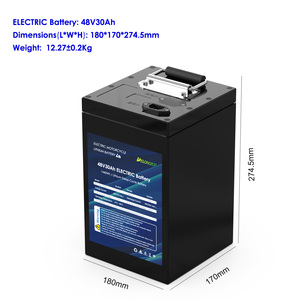 Batería de Iones de Litio Recargable para Motocicleta, 48V 51.2V 20Ah 30Ah 50Ah, 1000W 2000W, con BMS, para Scooter y Moto, DL-LFP-EM4830 Lit - Product Image 2