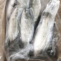 Bar à la chinoise congelé, procédé de congélation IQF, faible teneur en matières grasses, sans nicotine, emballage en carton 10kg, origine Chine