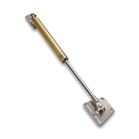 Ressort à gaz réglable hydraulique de Cabinet de Stabilus de 80n 100n 120n mini Miature pour des meubles