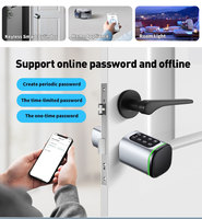 TUYA TTLock RFID Serrure à cylindre intelligente Europe avec clés Cylindre de serrure intelligent pour serrures à profil européen