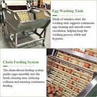 Machine automatique de lavage, de nettoyage et de tri des œufs de caille et de poule
