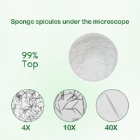 Bubuk Spikula Bio Microneedling Profesional Spongilla Spikula Wild Solvent 99% Ekstrak Spons Terhidrolisis 100-180 Mesh
