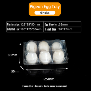 Chất Lượng Cao Bền Và Tái Sử Dụng Nhựa Giữ Trứng Pet Pigeon Trứng Khay Bán Buôn Từ Trung Quốc Nhà Cung Cấp Vỉ Quá Trình Loại - Product Image 6