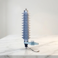Parafoudre composite 32 kV à oxyde métallique pour boîtier, sans fente série externe ni anneaux de gradation