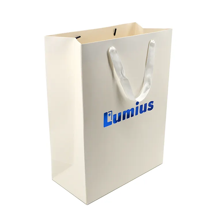 Custom Logo Printed Luxury Paper bags jewelry Bracelet Packaging Gift Shopping Bag with ribbon close