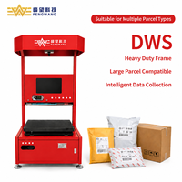 Sistema DWS Estático de Automatización de Almacenes Fengwang para Medición de Volumen y Pesaje de Paquetes Express (40g-60kg) con Escaneo de Códigos y Bandeja Inclinable
