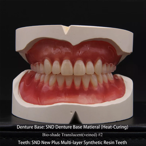 วัสดุทำฟันปลอมชนิดเหลว ขนาด 100 มล. สำหรับการบ่มด้วยความร้อน ใช้สำหรับงานทันตกรรม งานฟันปลอมแบบยืดหยุ่น สำหรับการรักษาทางช่องปาก และใช้ในห้องปฏิบัติการ - Product Image 2