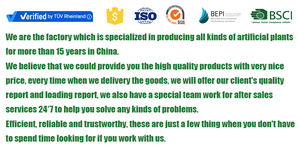 Tizen заводская цена зеленое декоративное растение Искусственные пластиковые листья Зеленая трава настенная панель зеленая стена фон - Product Image 6