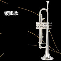 Bb Trumpet for School Students Adults Children Beginner Silver-plated Brass Instrument for Grade Exam Preparation First-time