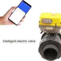 Vanne à boisseau sphérique motorisée en PVC avec Wi-Fi, commande à distance par application mobile, vanne d'eau électrique pour l'irrigation des jardins et des fermes, vente en gros