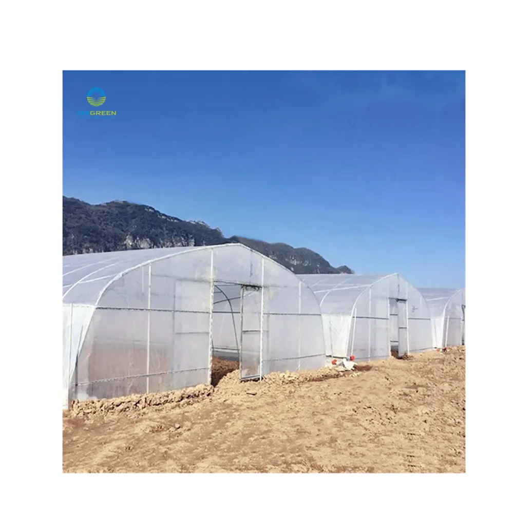 China Factory Direct Sale 8*30m Cheap Greenhouse Single-span Tunnel Greenhouse Used For Agriculture Tomato Strawberry