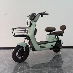 Bicicleta eléctrica de 48V con neumáticos gruesos para adultos, con ruedas de 20 pulgadas, 1000W, para niños de 10 años, 3000W, kit de motor para construir tu propia bicicleta, Bangladesh, 1500W. - Product Image 1