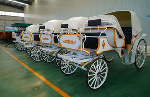 Carroza Eléctrica Elegante para Turismo en Venta - Product Image 1