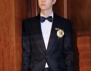 Broche de camélia en cuir Pu plaqué argent de Wang Yibo 6.8cm petite fleur parfumée anniversaire doré femmes - Product Image 1