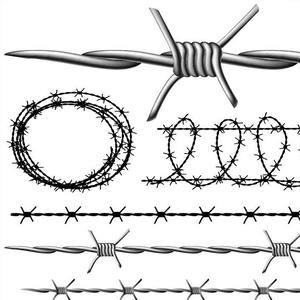 Alambre de Púas Galvanizado en Rollo, Precio del Alambre de Púas de Acero Inoxidable 316, Precio por Rollo, Alambre de Púas Concertina - Product Image 4