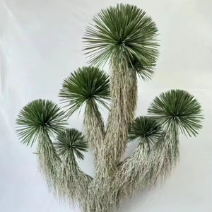 <span class=keywords><strong>Yucca</strong></span> <span class=keywords><strong>rostrata</strong></span> หุ่นไล่กาต้นไม้ทะเลทรายสัมผัสจริงสำหรับโรงแรมห้างสรรพสินค้าการตกแต่งภูมิทัศน์ - Product Image 1