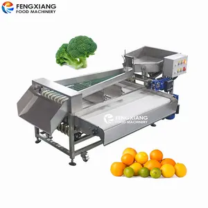 Mesin penyortir buah & sayuran sabuk PU kelas industri pemotongan brokoli cocok untuk tanaman pengolahan buah
