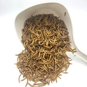 Vermi della farina essiccati a microonde per uccelli pesci lucertole ragni gechi ricci camaleonti criceti ecc. Dolcetti - Product Image 2