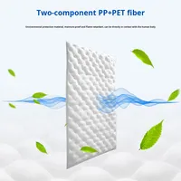 Panneaux acoustiques en coton pour voiture, forme personnalisée, auto-adhésifs, absorbants le son, en PET+PP+non-tissé, pour isolation phonique des murs et des portes B1