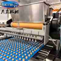 Nouvelle ligne de production entièrement automatique de biscuits mous SKYWIN, haute efficacité, garantie 1 an, pour snacks de boulangerie à base de farine et d'eau