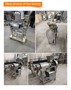 Machine industrielle de pressage et de pulpage de fruit de la passion avec moteur 220V, haute productivité - Product Image 5