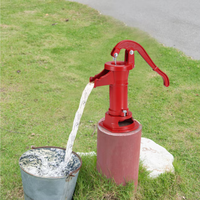 Pompe à eau manuelle à piston en fonte, style antique/vintage, pour puits peu profond, à basse pression, pour jardin agricole