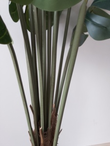 Haute qualité Real Touch plastique artificiel Monsteras feuilles plantes décoration extérieure arbre artificiel plante artificielle spécifique - Product Image 5