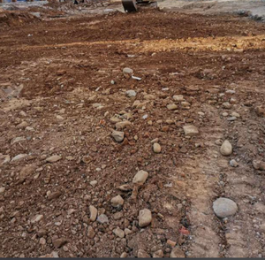 Concasseur de pierres agricole à entraînement PTO, équipement de défrichage et de remise en état des terres, machine de débroussaillage de champ - Product Image 5
