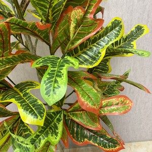 <span class=keywords><strong>Codiaeum</strong></span> <span class=keywords><strong>variegatum</strong></span> เทียมสีเขียว2025ใหม่มีก้านเสาพลาสติกสำหรับตกแต่งในบ้านโรงแรมสวนในร่มและกลางแจ้ง - Product Image 3