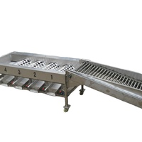 Groentefruit Classificator 1000 Kg/u Aardappelui Sorteermachine Sorteermachine Prijs