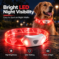 Bracelet lumineux LED rechargeable pour enfants, 7 couleurs clignotantes, jouet fantaisie pour fête, également disponible pour animaux de compagnie (chiens et chats)