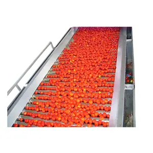 Línea de producción de pasta de tomate máquina de procesamiento de salsa de tomate industrial a pequeña escala de fábrica de Shanghai