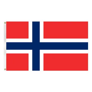 3x5FT poliestere prezzo economico norvegia bandiera del paese e bandiera nazionale con due anelli di tenuta