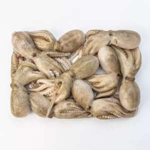 Pulpo congelado de calidad alimentaria, precio al por mayor, mariscos, nueva temporada, exportación, pulpo entero congelado gigante, en stock, octop pequeño de bebé congelado - Product Image 5