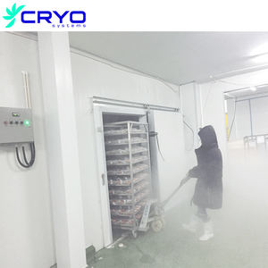 Thương mại sâu Tủ đông Air <span class=keywords><strong>Blast</strong></span> Máy làm lạnh Tủ đông Máy Blaster Tủ đông phòng lạnh - Product Image 1