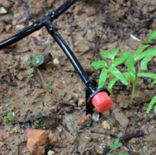 <span class=keywords><strong>Tuyau</strong></span> micro-<span class=keywords><strong>capillaire</strong></span> en PVC noir flexible 4x7 <span class=keywords><strong>pour</strong></span> système d'irrigation de jardin par micro-asperseurs - Vente en gros - Product Image 2