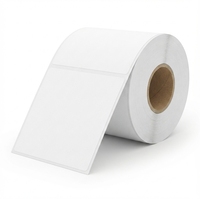 Étiquettes thermiques sans BPA 100 x 150 mm, rouleau d'étiquettes thermiques 6x4, étiquettes d'adresse 4x6, étiquettes d'expédition thermiques directes, autocollants thermiques directes