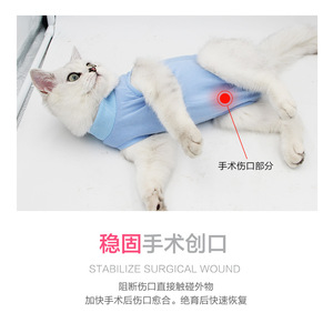 Wholesale Luxury Adjustable Lightweight Simple Female Anti-Licking Breathable Elastic Cotton Cat Weaning Medical Rehabilitation - Product Image 2