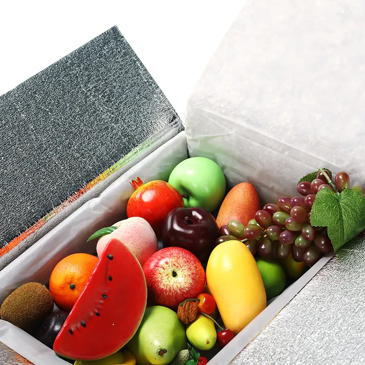 Food Package Biodegradable Insulated Box Liner For Frozen Food Thermal Packing and Seafood Delivery