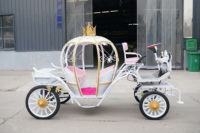 Nouvelle Arrivée Professionnelle : Carrosse Électrique Rose Princesse Cendrillon à Chariot de Citrouille pour Mariage